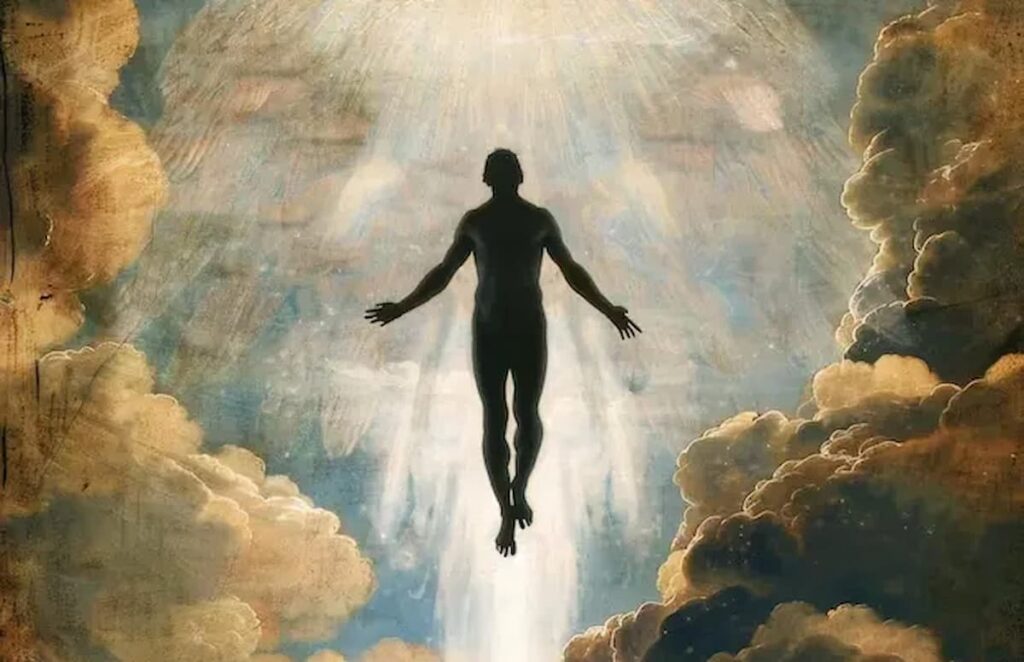 The future and immortality cover