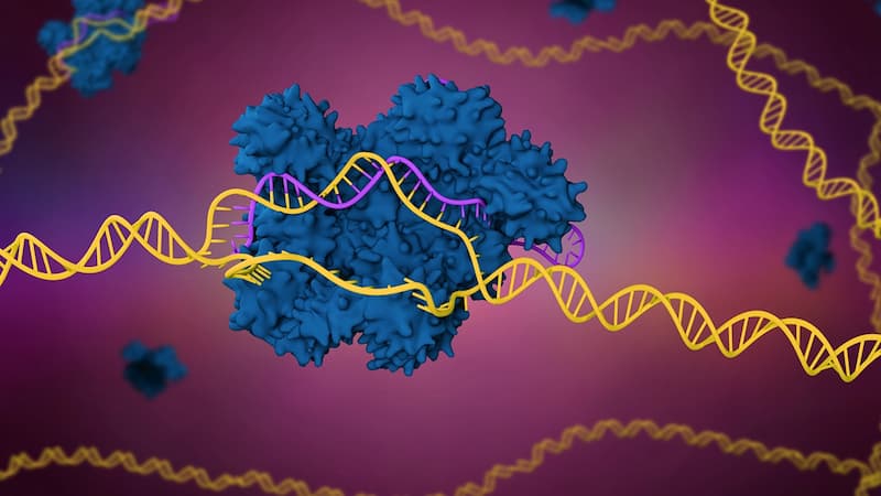 the future and immortality, crispr