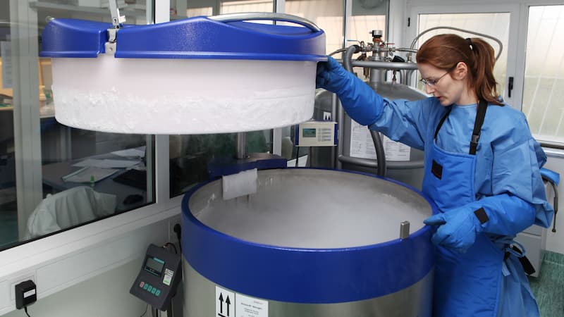 the future and immortality cryonics